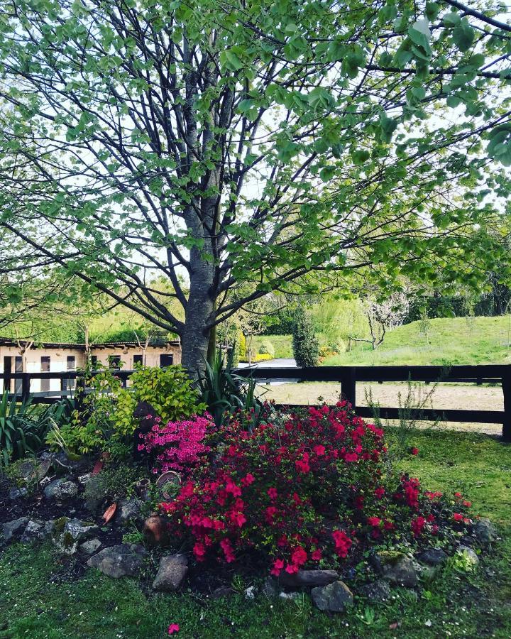 Agroturismo Anziola Oiartzun Exterior foto